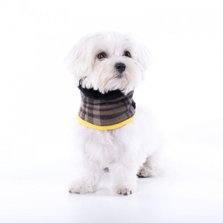 Cuello Uoamy para perros color Marrón Scott cuadros, , large image number null
