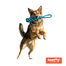 Tootoy! Mordedor de Cuerda Azul para perros