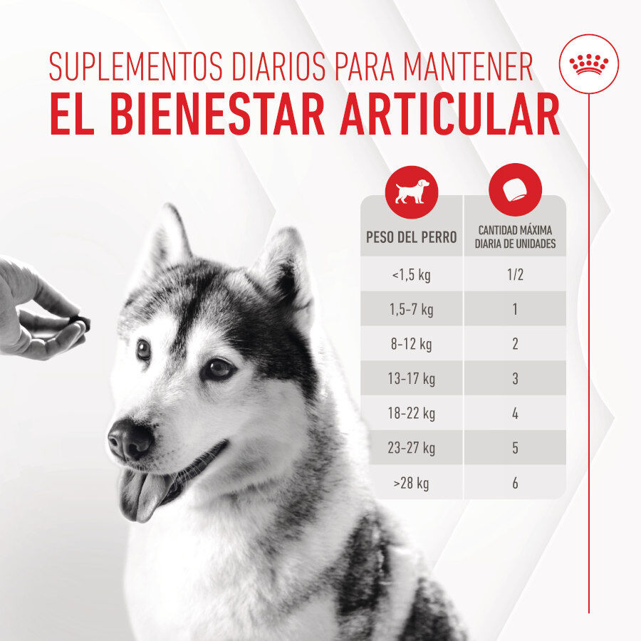 Royal Canin Joint &amp; Ageing Chews Suplemento Nutricional para perros con sensibilidad articular thumbnail