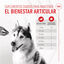Royal Canin Joint & Ageing Chews Suplemento Nutricional para perros con sensibilidad articular, , large indicador imagen numero 5