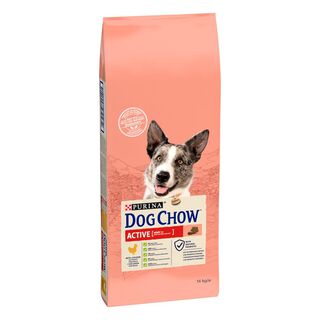 Dog Chow Active Pollo pienso para perros 
