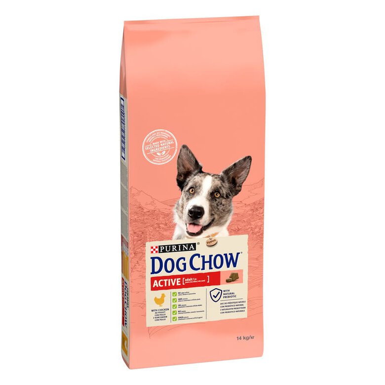 Dog Chow Active pienso perros actividad intensa image number null