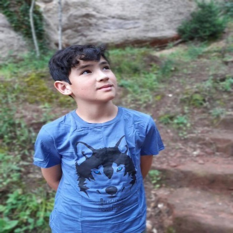 Camiseta niño/a lobo color Blanco, , large image number null