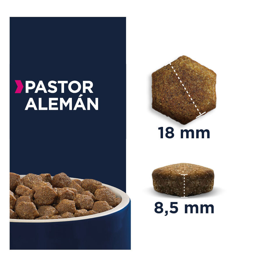 Eukanuba Adult Pastor Alemán pienso para perros thumbnail
