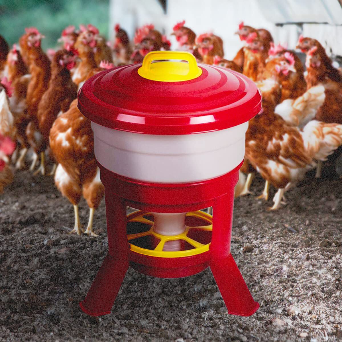 Tolva Gallinas silo Premium 30 L - Comedero con Patas para Gallinas - Tolva de Gran Capacidad para Aves de Corral Fabricada en pl&aacute;stico Resistente a la Intemperie, , large Imagen numero 5