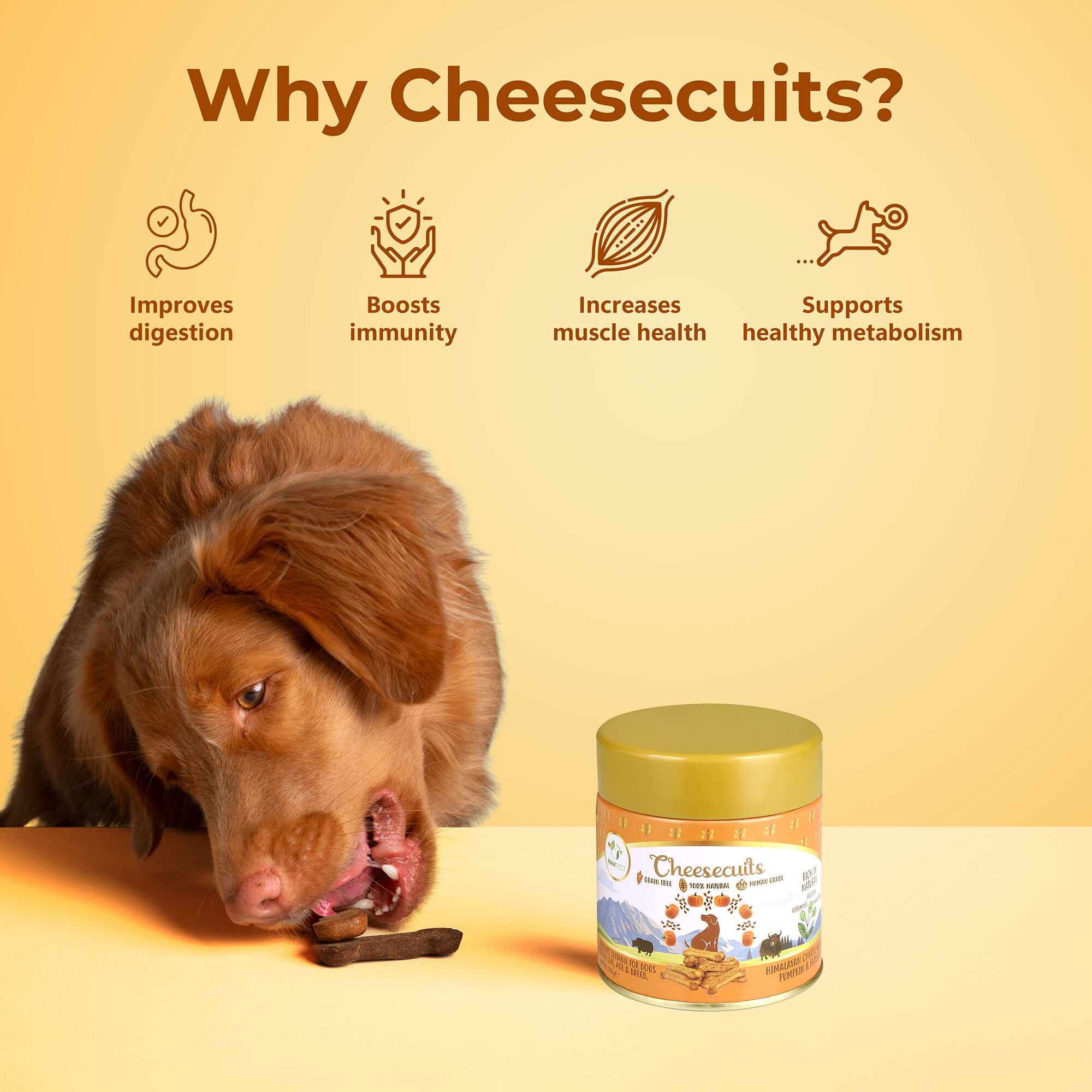 Galletas de queso para perros con calabaza y semillas de lino - Cheesecuits (100 g/3,53 oz), , large Imagen numero 5