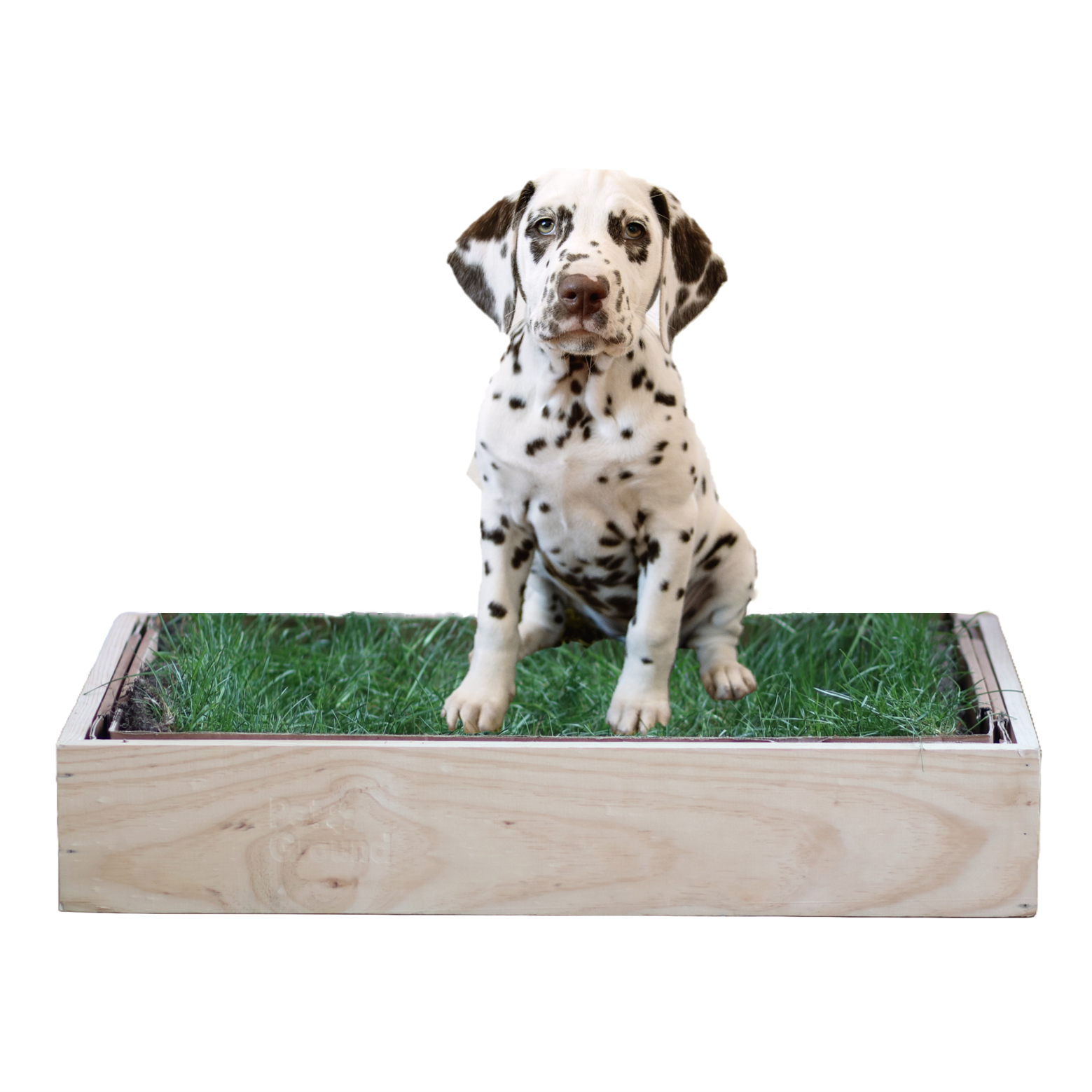 PetGround Cajas de Madera, , large Imagen numero 2