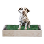 PetGround Cajas de Madera, , large indicador imagen numero 2