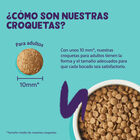 Edgard & Cooper Adult Pavo y Pollo pienso para gatos, , large image number null
