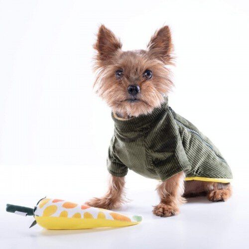 Abrigo para perros Groc Groc Chiu Bot&oacute;n Earl Grey, , large Imagen numero 2