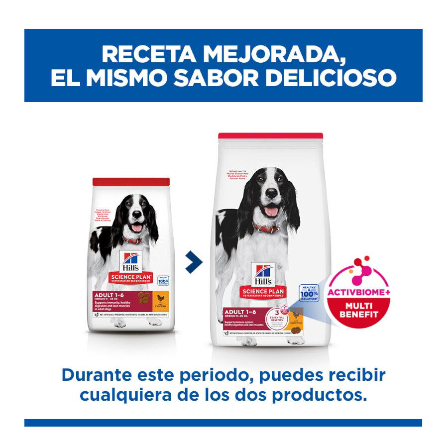 14 kg Hill's Science Plan Adult Medium Pollo pienso para perros, , large Imagen numero 3