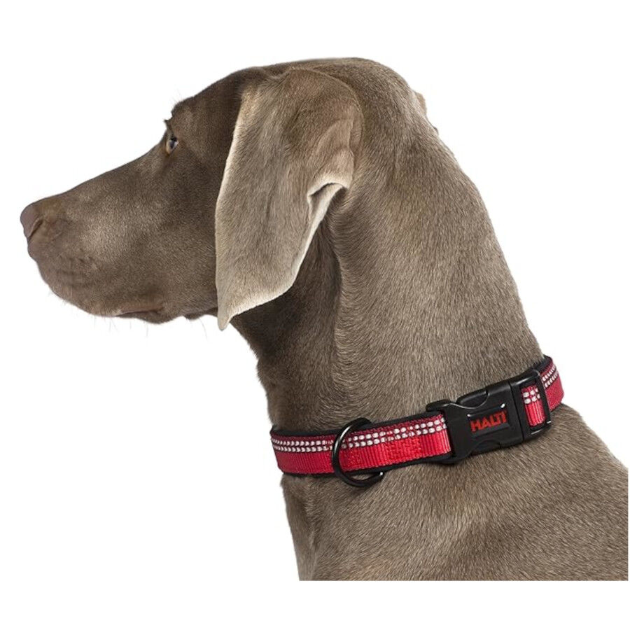 Halti collar acolchado c&oacute;modo rojo para perros, , large Imagen numero 2