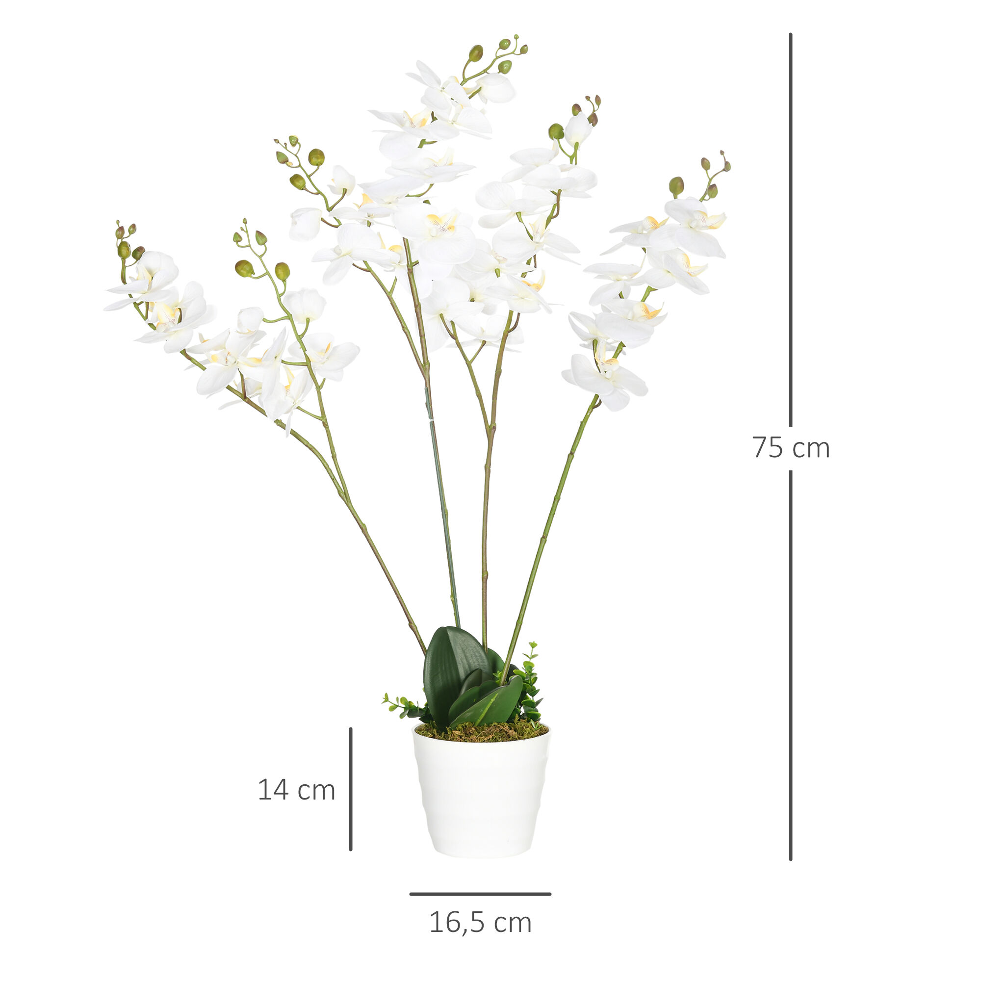 HOMCOM Phalaenopsis Artificiales Blanco, , large Imagen numero 3