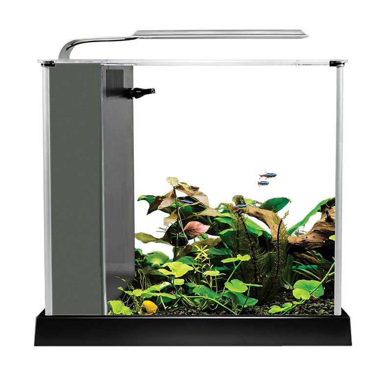 Fluval Spec Nano Acuario negro para peces