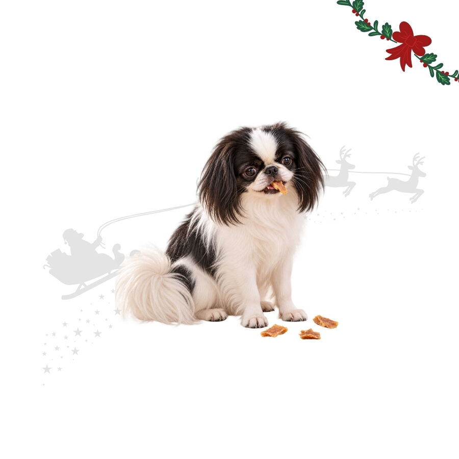 1 bolsita Wonder Christmas Bocados de Pollo Snacks para perros, , large Imagen numero 1