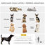 PawHut 4 en 1 Transportadora para Mascotas con Ruedas Carrito para Mascotas Bolsa de Transporte para Perros Gatos con Asa Telescópica de Aluminio 50x31x37 cm Gris, , large indicador imagen numero 4
