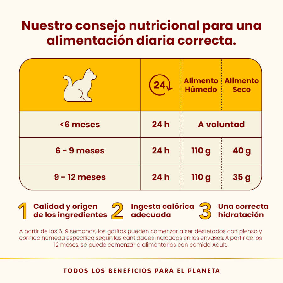 Almo Nature Kitten HFC Pollo lata para gatitos thumbnail