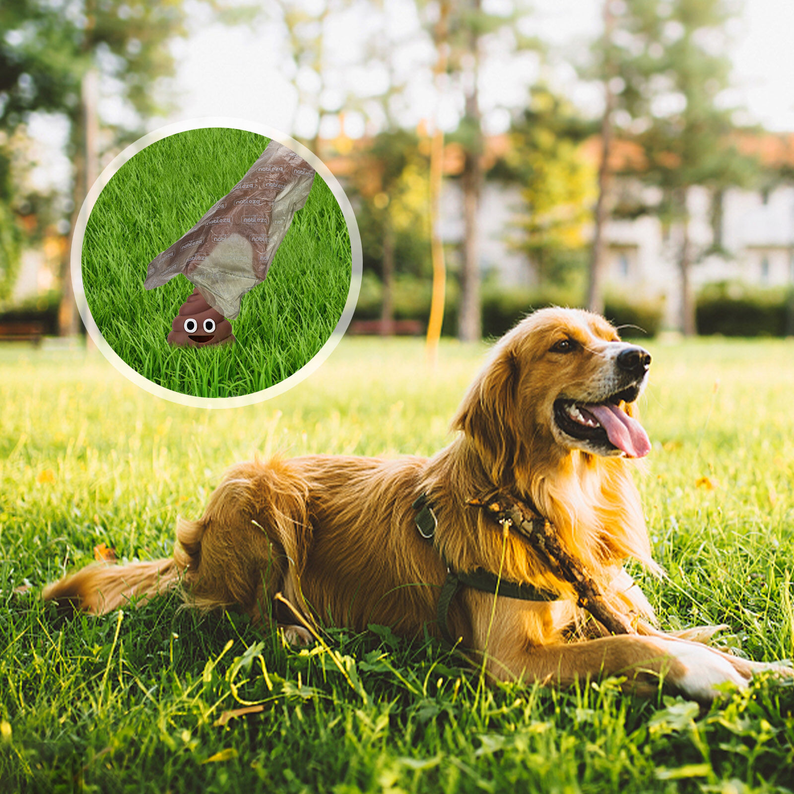 Nobleza Bolsas Caca Perro, 1080 Unidades Bolsas Excrementos Perros, Extra Grueso, Fuerte y a Prueba. 3 Rollos por Pack, 72 Rollos , Color Negro, , large Imagen numero 4