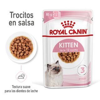 Royal Canin Kitten sobre en salsa para gatos