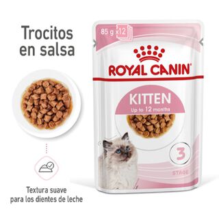 Royal Canin Kitten sobre en salsa para gatos