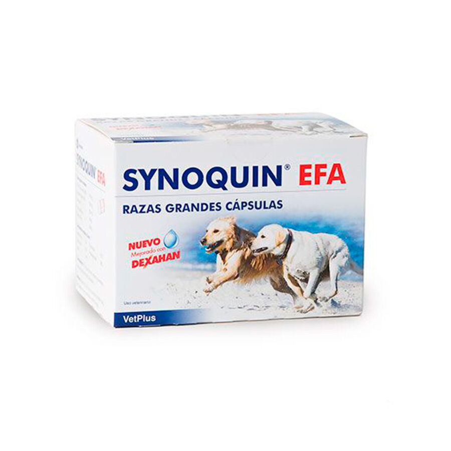 120 comprimidos VetPlus Synoquin EFA Condroprotector en C&aacute;psulas para perros de razas grandes, , large Imagen numero 1