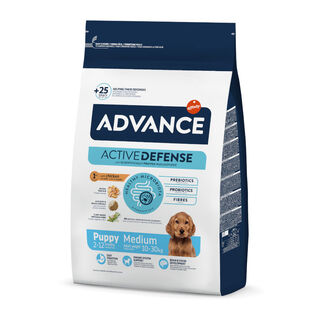 Advance Active Defense Medium Puppy Pollo y Arroz pienso para perros