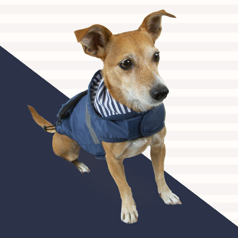 Outech Impermeable con Bolsillo Azul Marino para perros, , large image number null