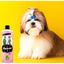 Petuxe champú vegano para perros y gatos, , large indicador imagen numero 3