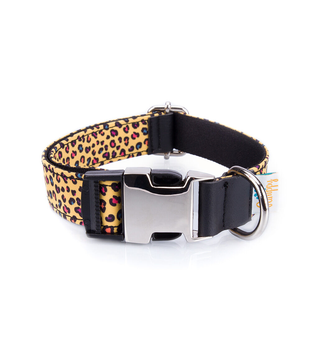 Collar Pamppy  Funny Leopardo amarillo para perros, , large Imagen numero 1