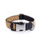 Collar Pamppy  Funny Leopardo amarillo para perros, , large indicador imagen numero 1