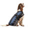 Chaleco refrescante para perros IBÁÑEZ Instant Fresh Tamaño - 25 cm., , large indicador imagen numero 1