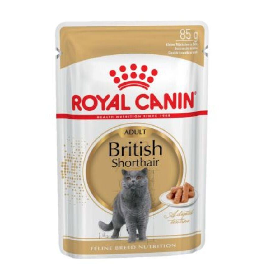 Royal Canin Sobre en Salsa British Shorthair Adult thumbnail