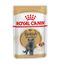 85 g Royal Canin Sobre en Salsa British Shorthair Adult, , large indicador imagen numero 1