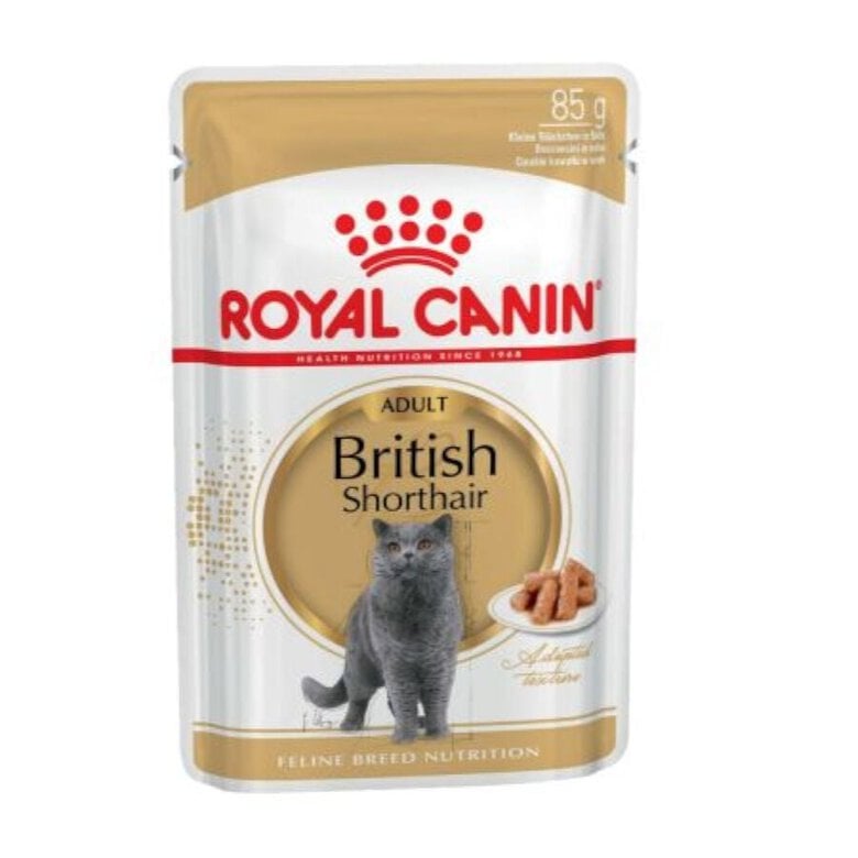 Royal Canin British Shorthair comida húmeda para gato adulto