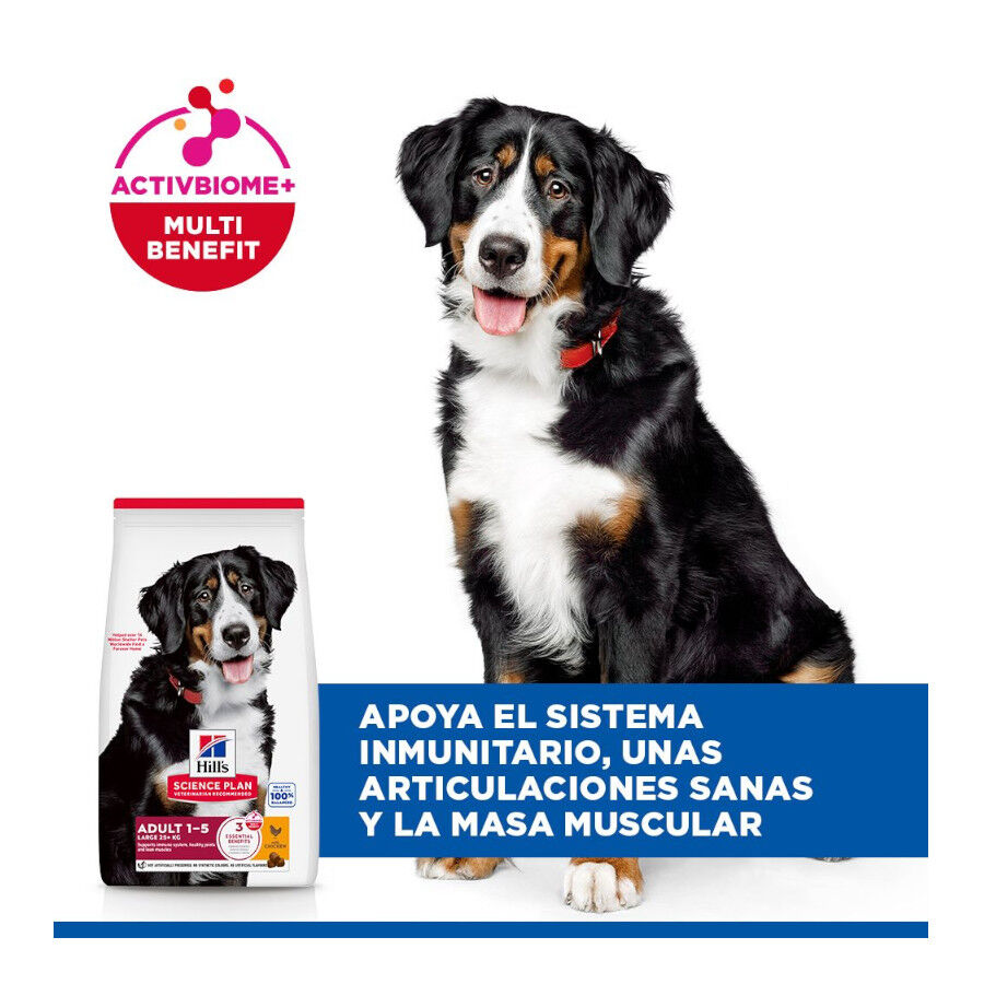 18 kg Hill's Science Plan Adult Large Pollo pienso para perros, , large Imagen numero 4