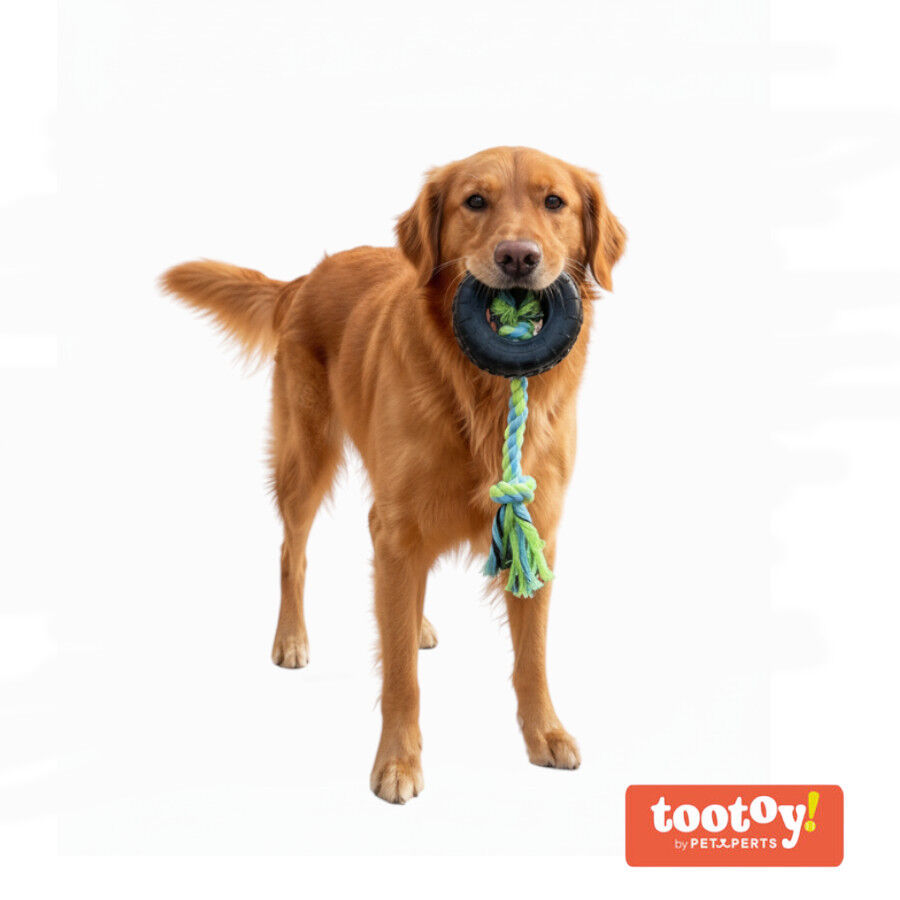 Tootoy! Mordedor Neum&aacute;tico de Goma con Cuerda para perros, , large Imagen numero 8