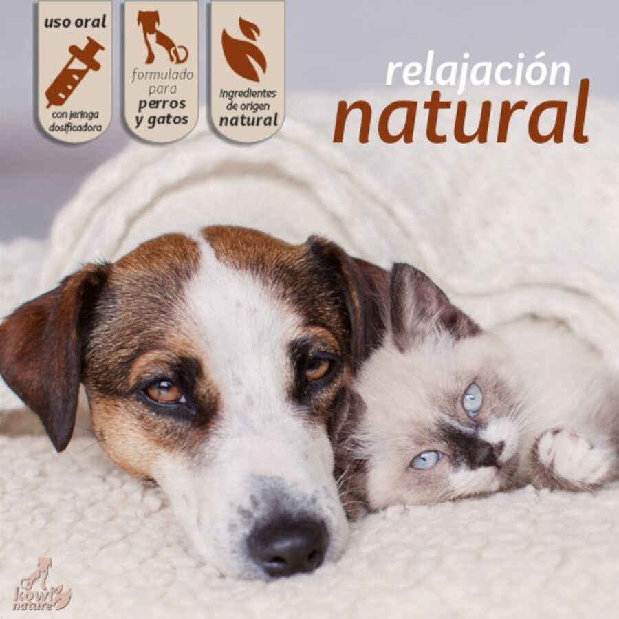 KOWI RELAX DROPS, 60 ML, , large Imagen numero 2