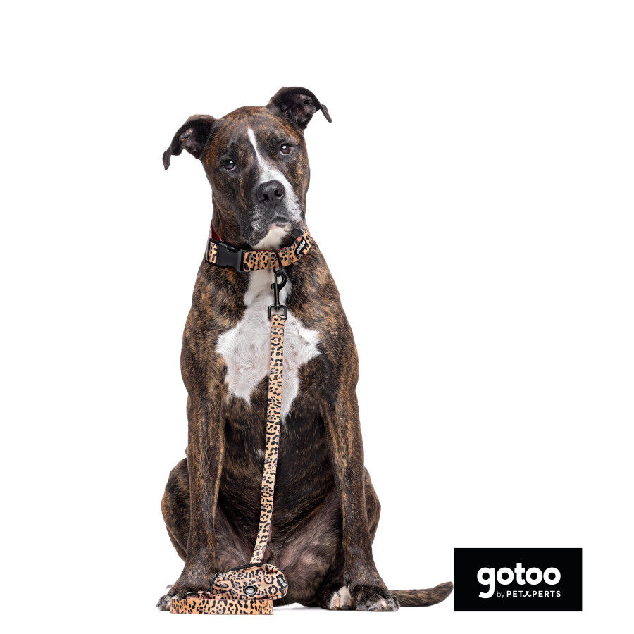 Gotoo Porta bolsas estampado leopardo marr&oacute;n para perros, , large Imagen numero 4