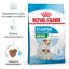 8 kg Royal Canin Starter MotheryBaby Mini pienso para perros, , large indicador imagen numero 2