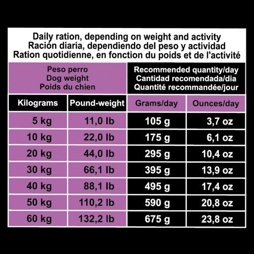 Arquivet original pienso cordero y arroz para perros adultos, , large Imagen numero 5