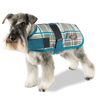 Ibañez Capa + Trendy Breathe Comfort Aguamarina para perro