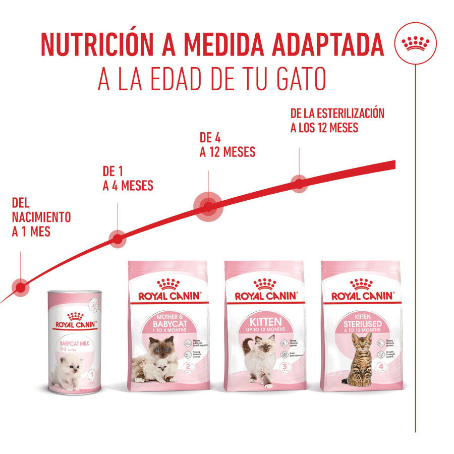 Royal Canin Kitten pienso para gatos thumbnail