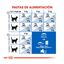 3.5 kg Royal Canin Home Life Indoor 7+ pienso para gatos, , large indicador imagen numero 8
