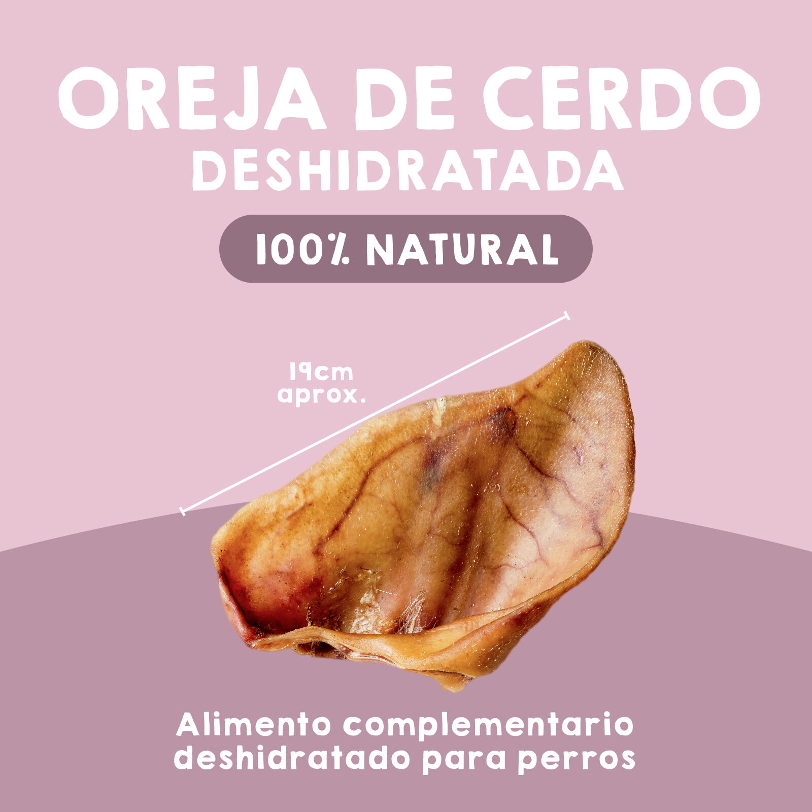 MAIKAI PETS Orejas de Cerdo - Chuches y Snacks para Perros, , large Imagen numero 3