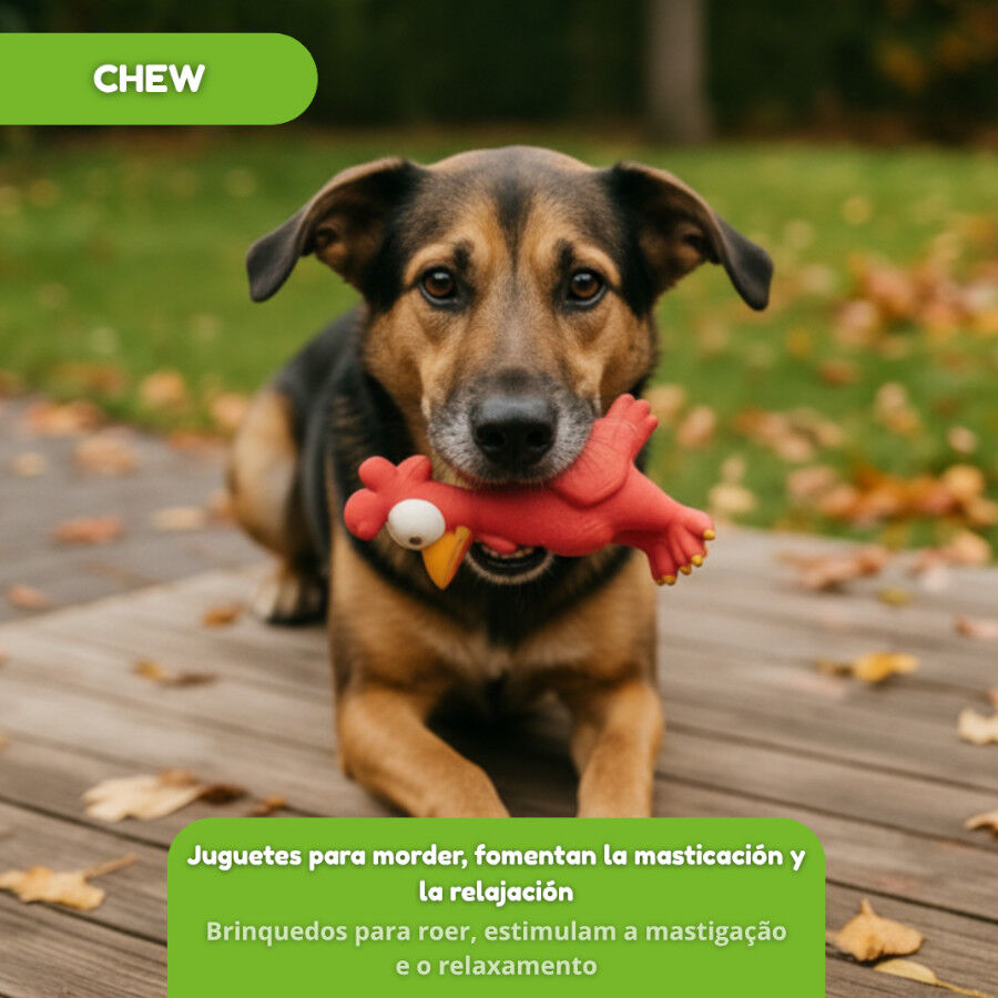 Tootoy! Mordedor con Sonido Gallina para perros, , large Imagen numero 5