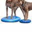 FitPAWS Disco de equilibrio para mascotas azul 36 cm, , large indicador imagen numero 4