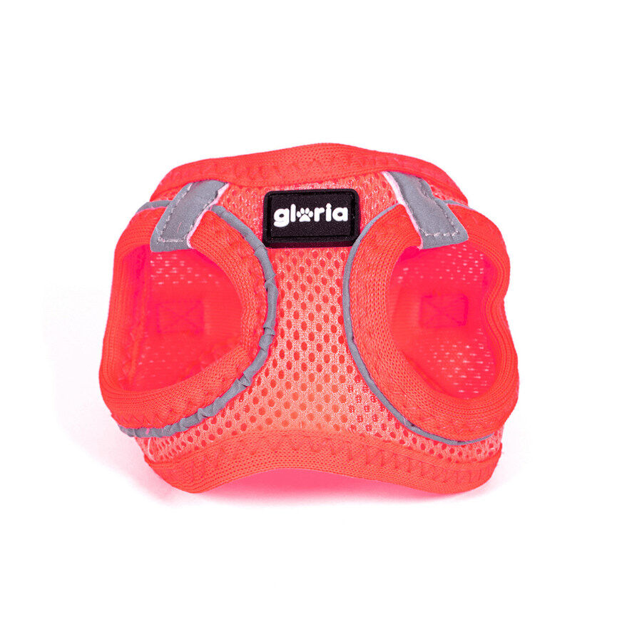 Gloria Air Mesh Trek Star Arn&eacute;s Rosa para perros, , large Imagen numero 2