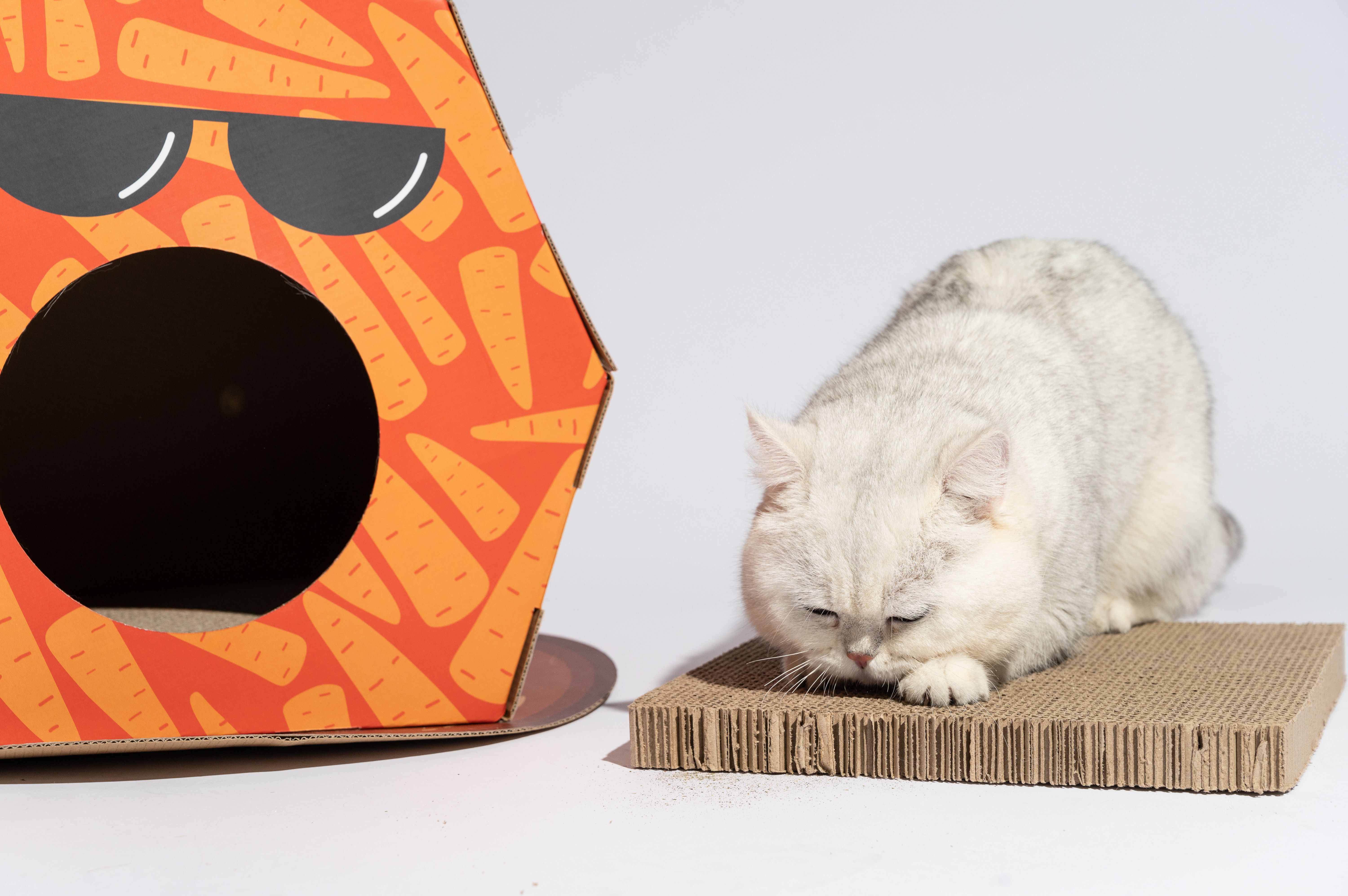 FOFOS | Caja de Cart&oacute;n Zanahoria con Panel Rascador - Para Gato, , large Imagen numero 4