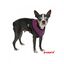 Arnés Soft para perros color Púrpura, , large indicador imagen numero 1