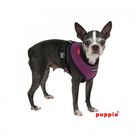 Arnés Soft para perros color Púrpura, , large image number null
